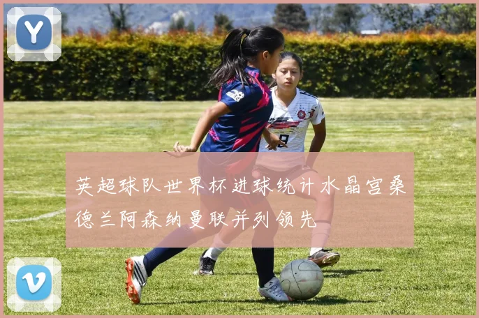 英超球队世界杯进球统计水晶宫桑德兰阿森纳曼联并列领先